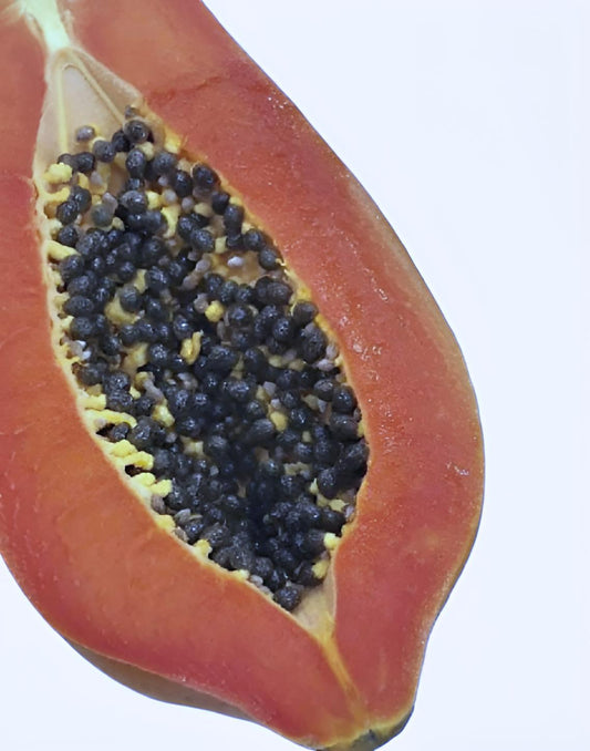 Carica papaya Bella F1