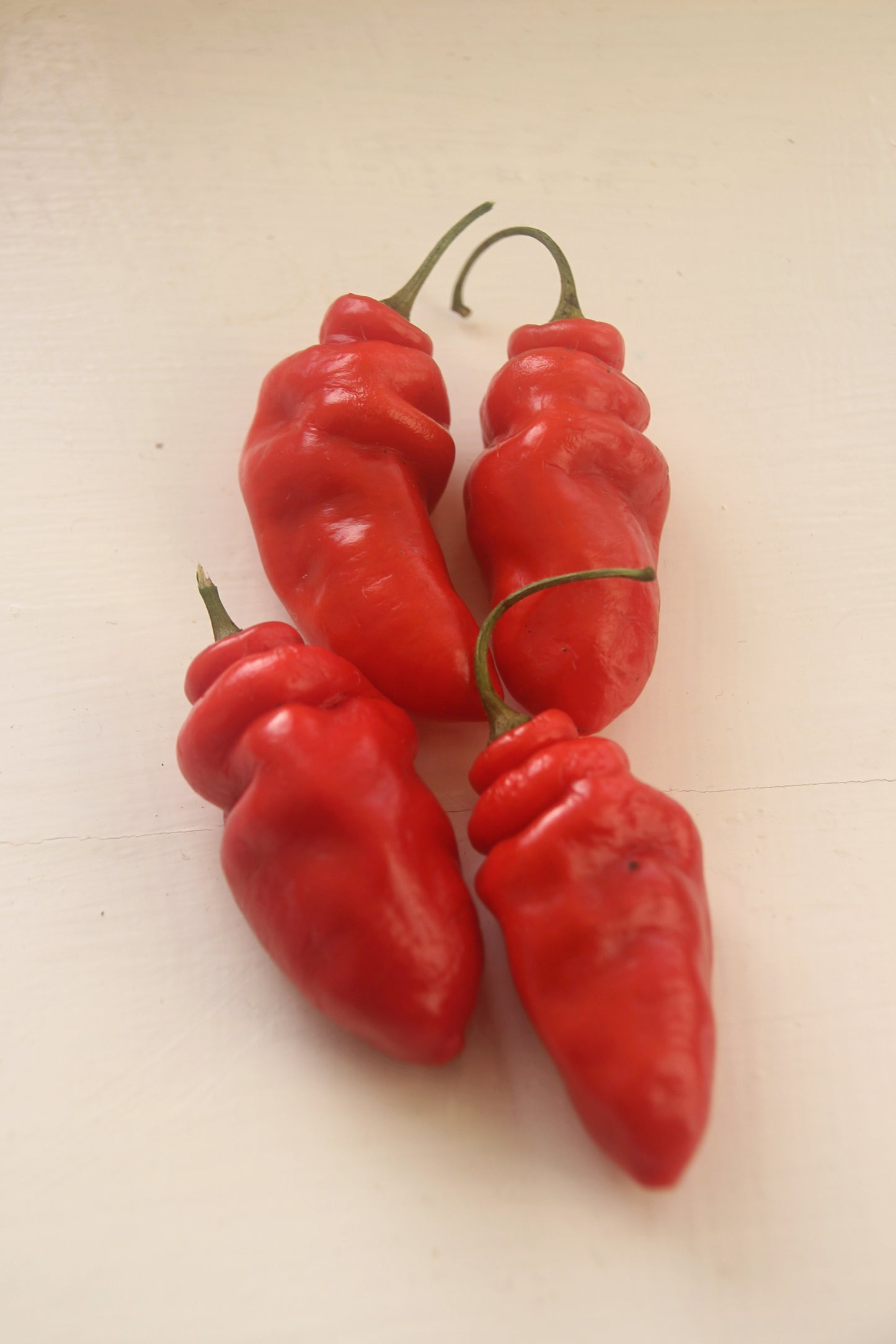 Capsicum pubescens Long Red