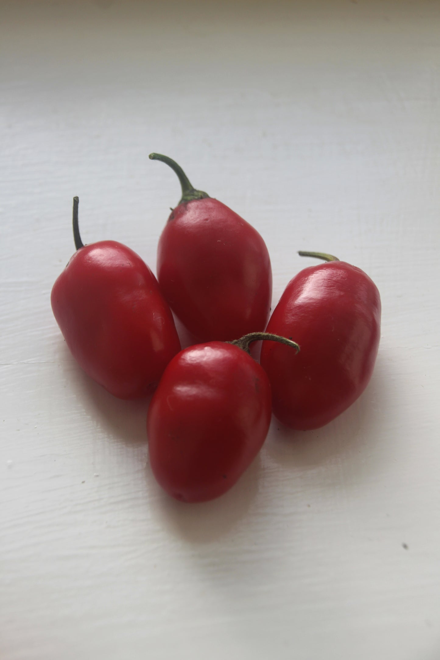 Capsicum pubescens Alberto's Locoto