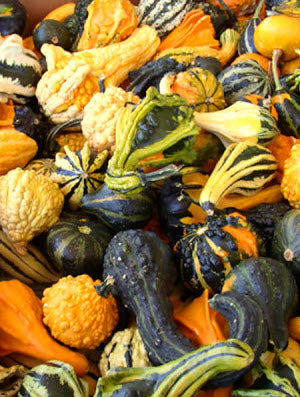 Gourds Small Mixed